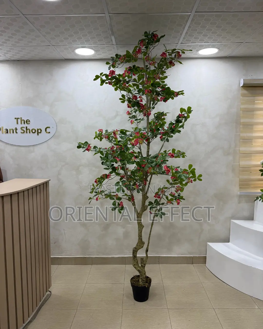 Artificial Red Exotica Tree 250cm | Artificial Plant Nigeria