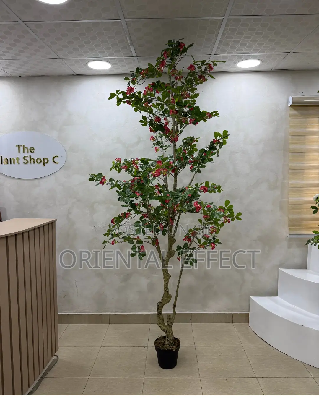Artificial Red Exotica Tree 250cm | Artificial Plant Nigeria