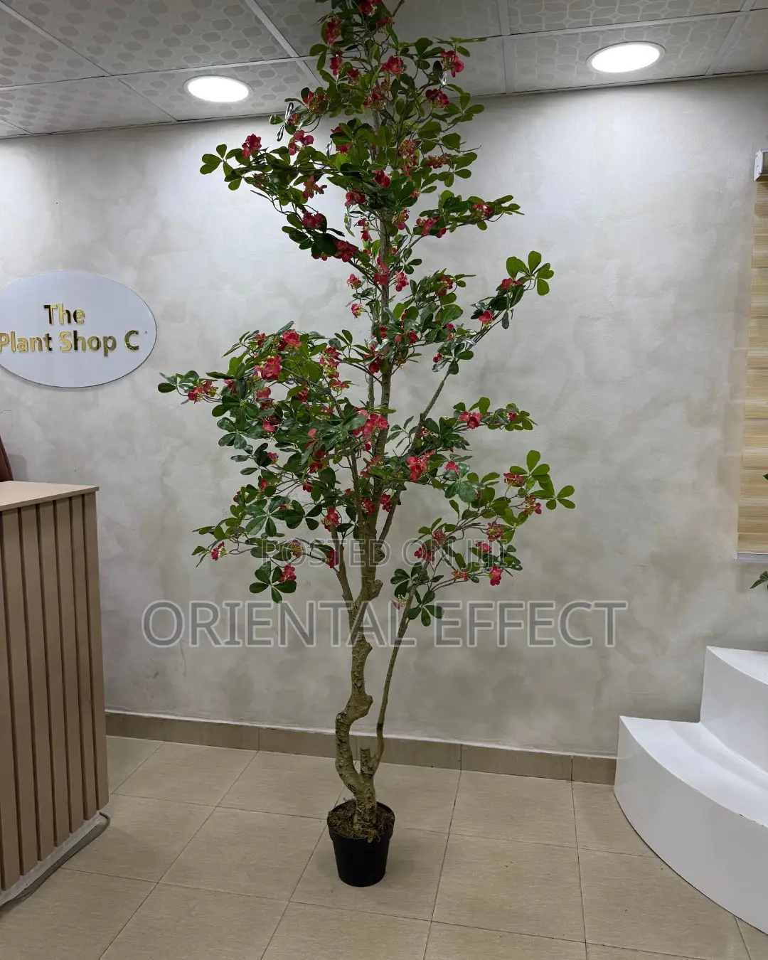 Artificial Red Exotica Tree 250cm | Artificial Plant Nigeria