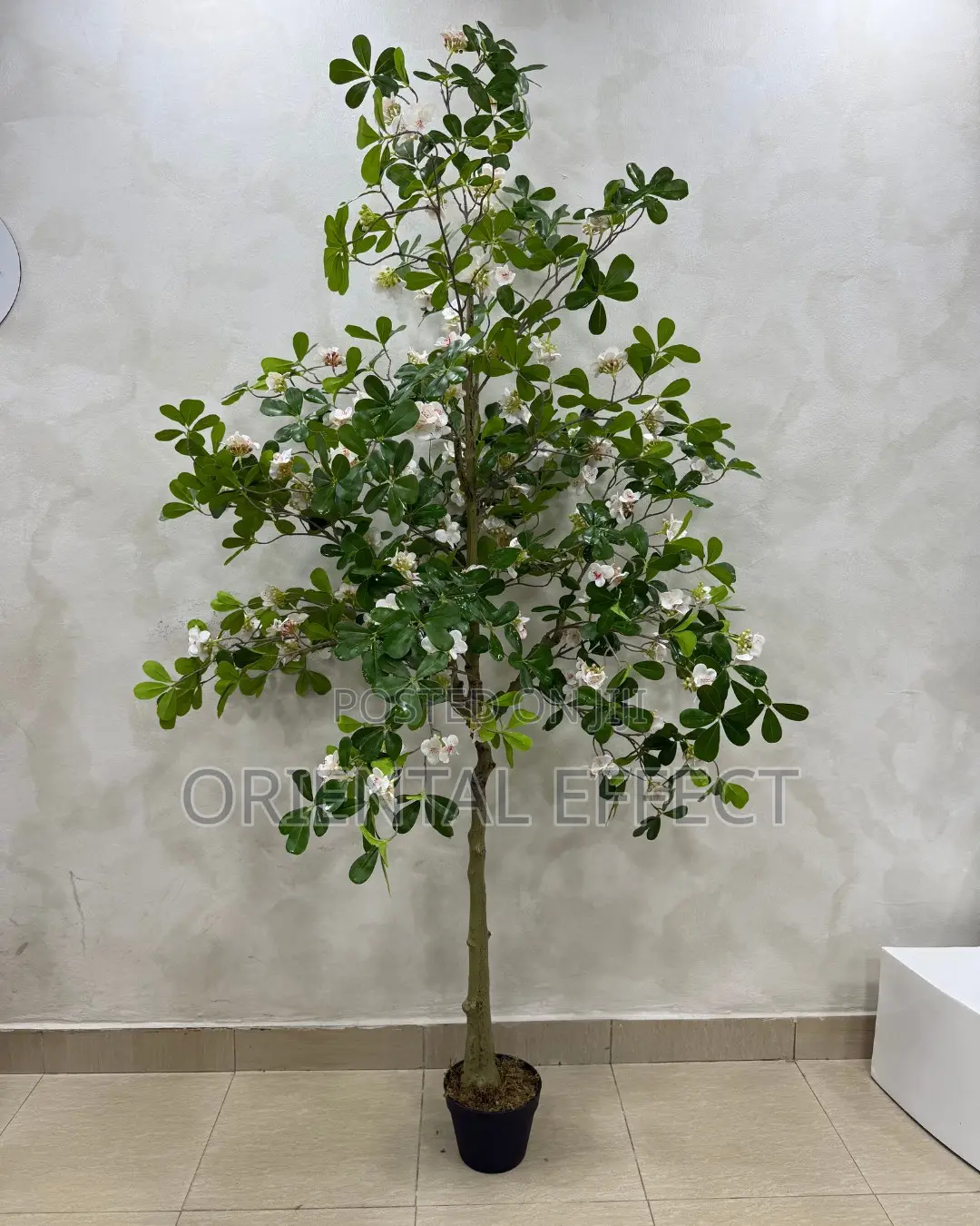 Artificial White Exotica Tree 185cm | Indoor Plant Nigeria