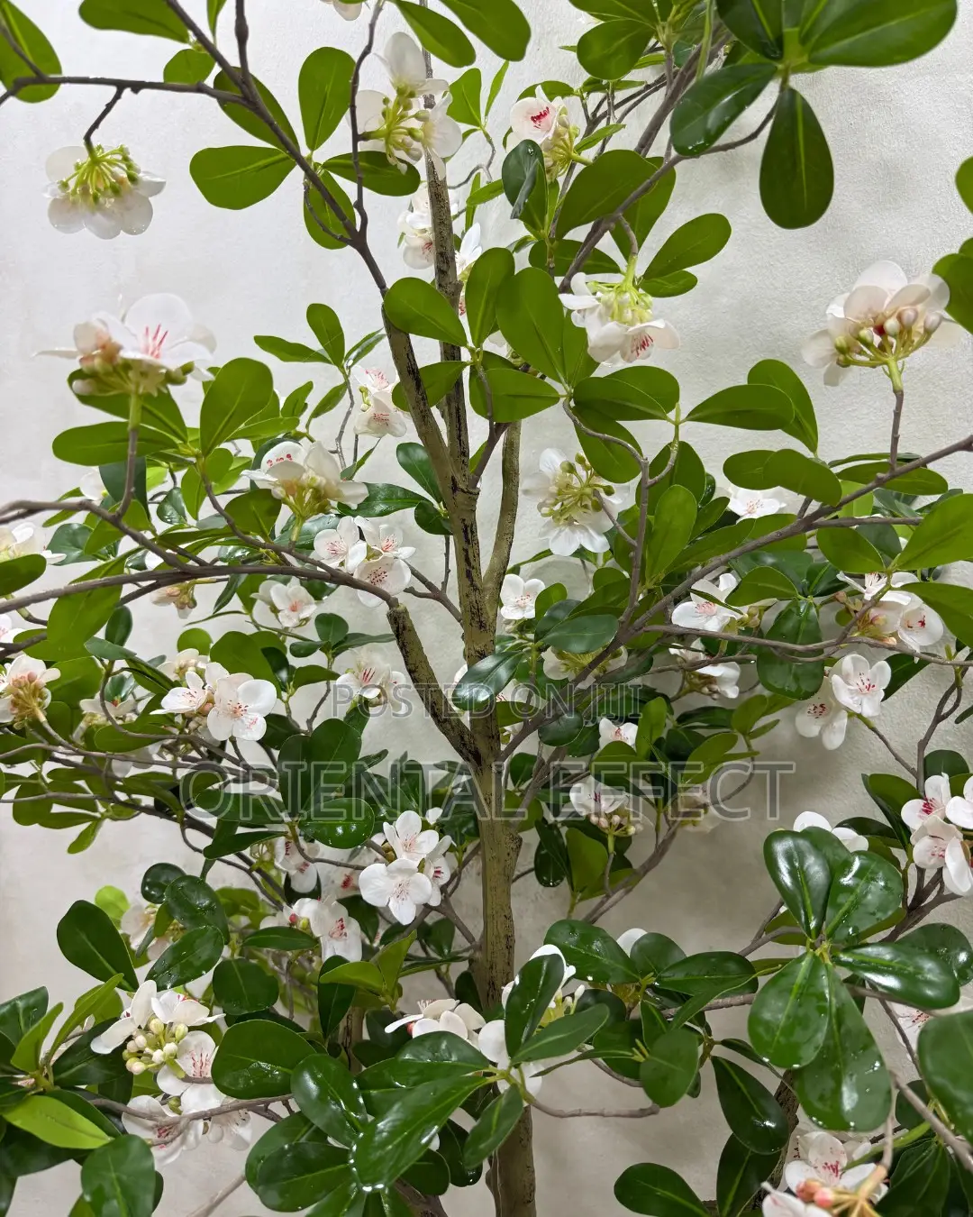 Artificial White Exotica Tree 185cm | Indoor Plant Nigeria