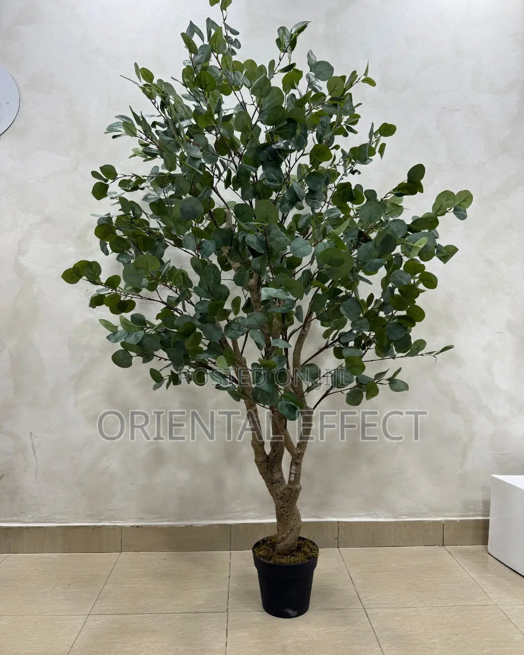 Artificial Eucalyptus Forest 180cm | Artificial Plant Nigeria