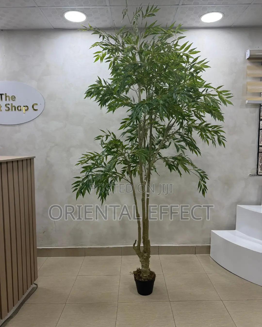 Artificial Mahonia Tree 210cm | Artificial Plant Nigeria