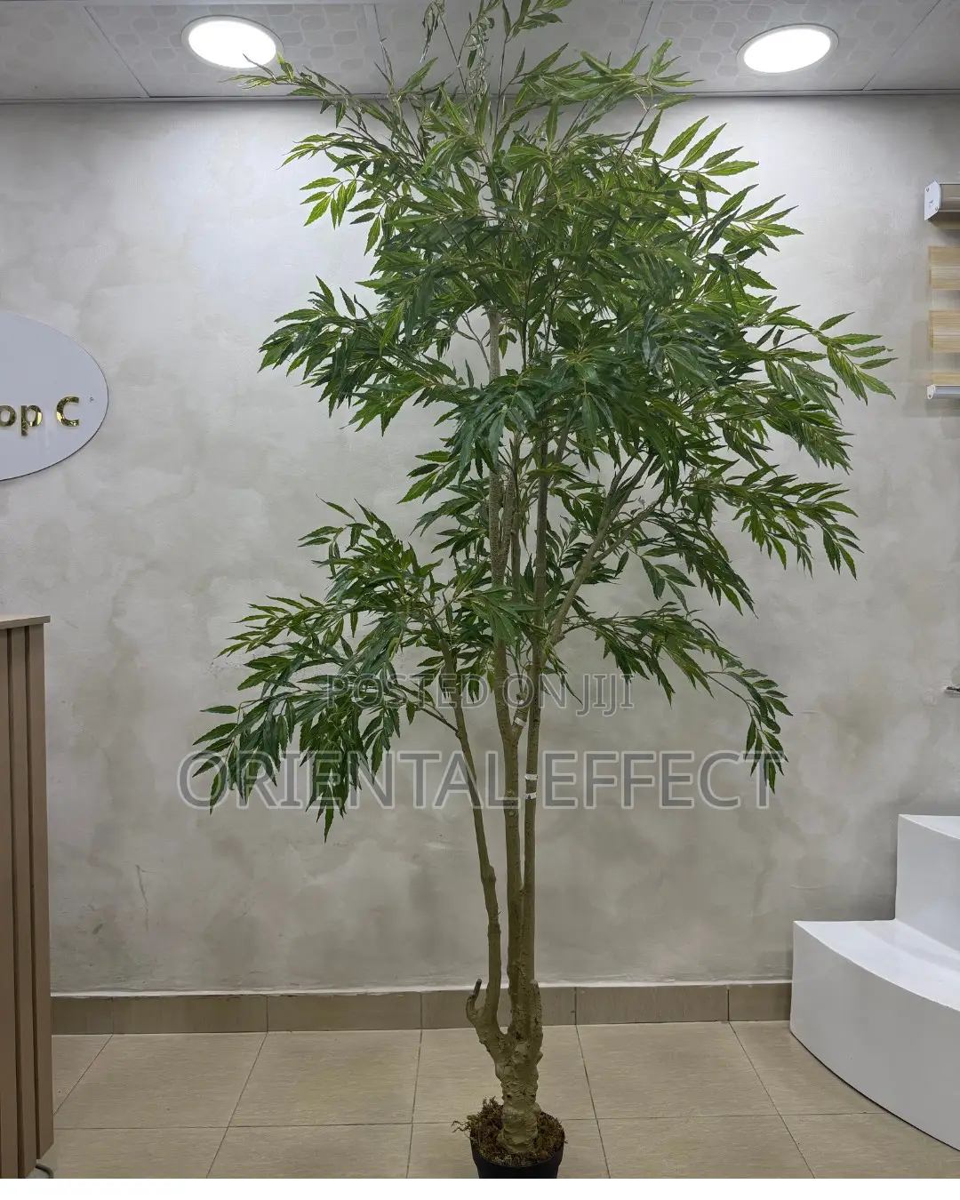 Artificial Mahonia Tree 210cm | Artificial Plant Nigeria