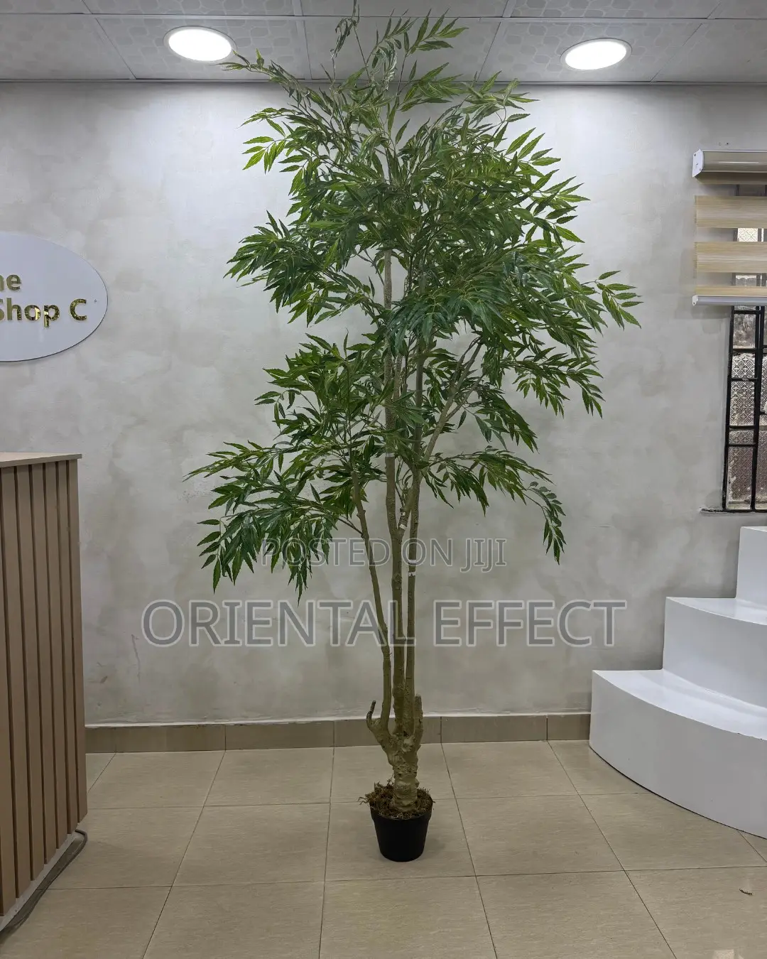 Artificial Mahonia Tree 210cm | Artificial Plant Nigeria