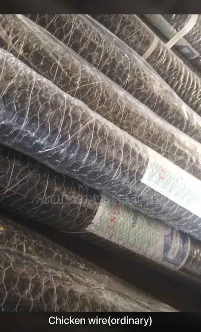 Galvanized Chicken Wire Anti Rust