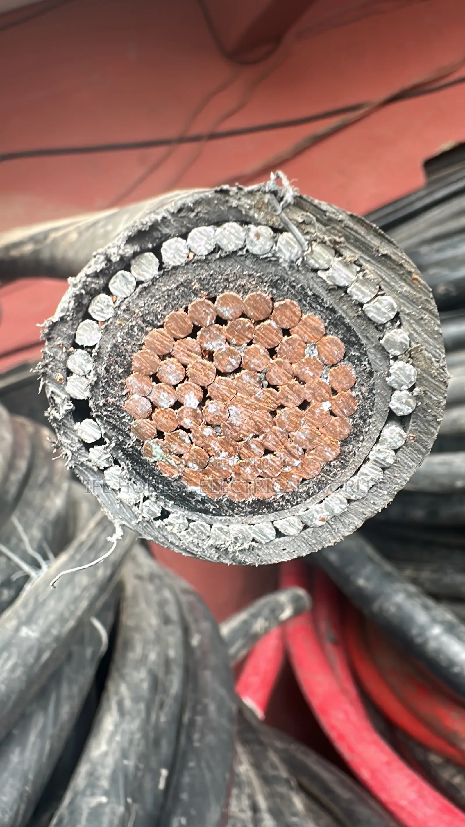 400mm Armored Cable