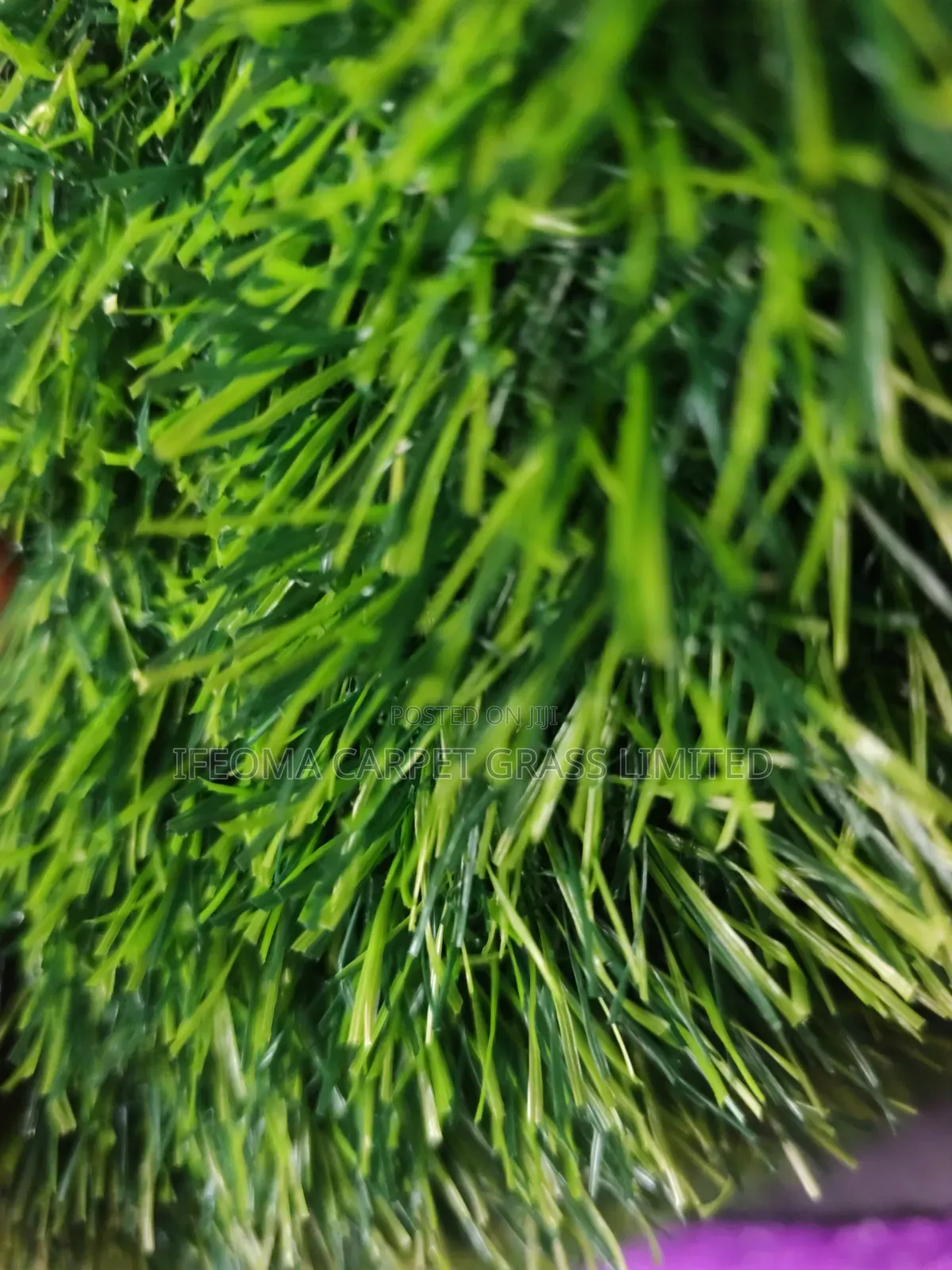 Artificial Grass 20mm Available in Different Sizes and Colours
