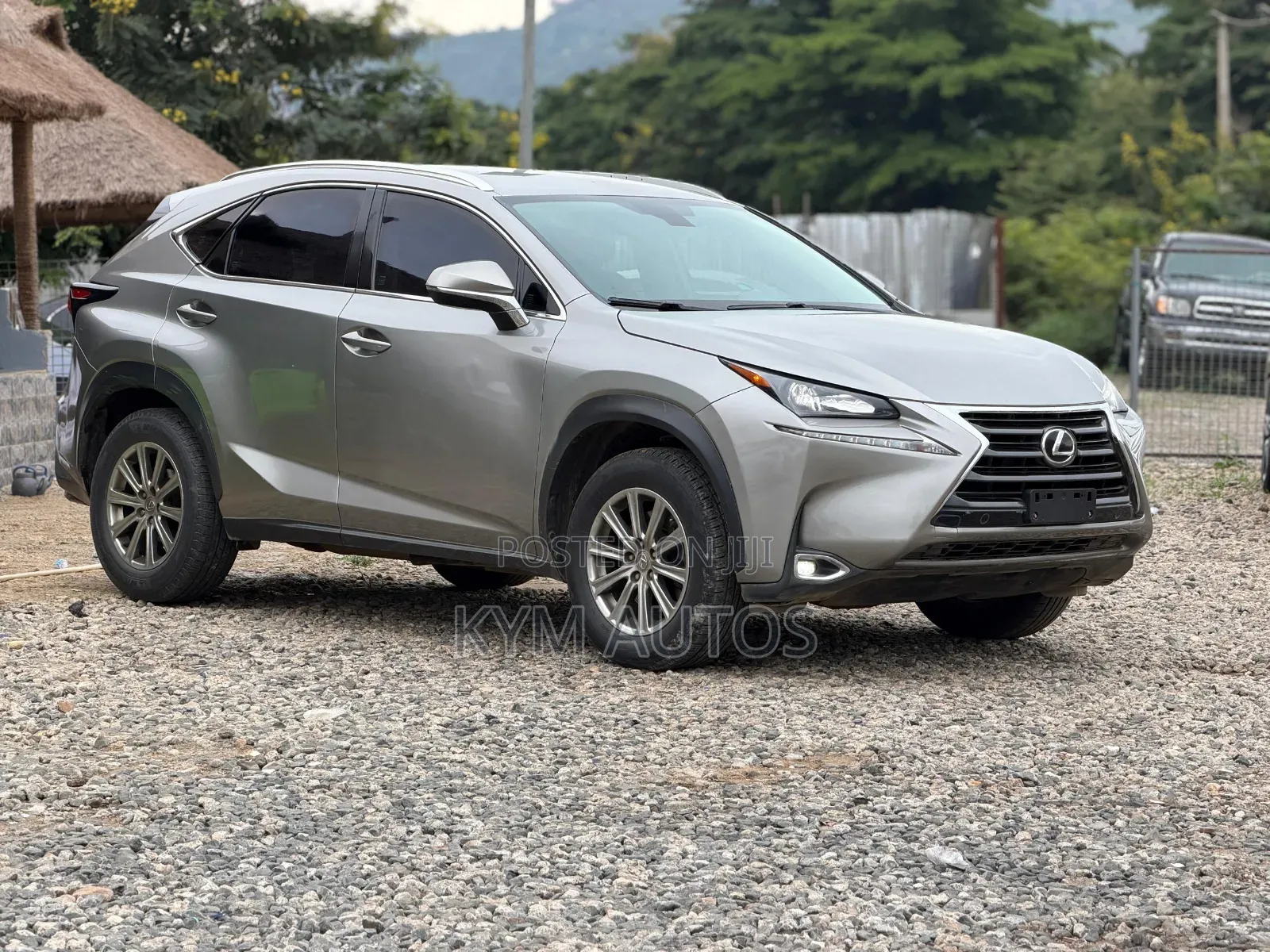 Lexus NX 2017 Gray