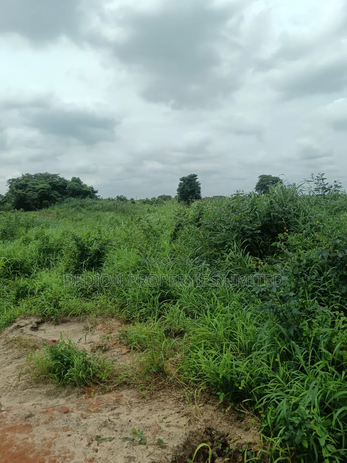 Ojodu Berger Land With Gazette, Supreme Court Judgment and Survey
