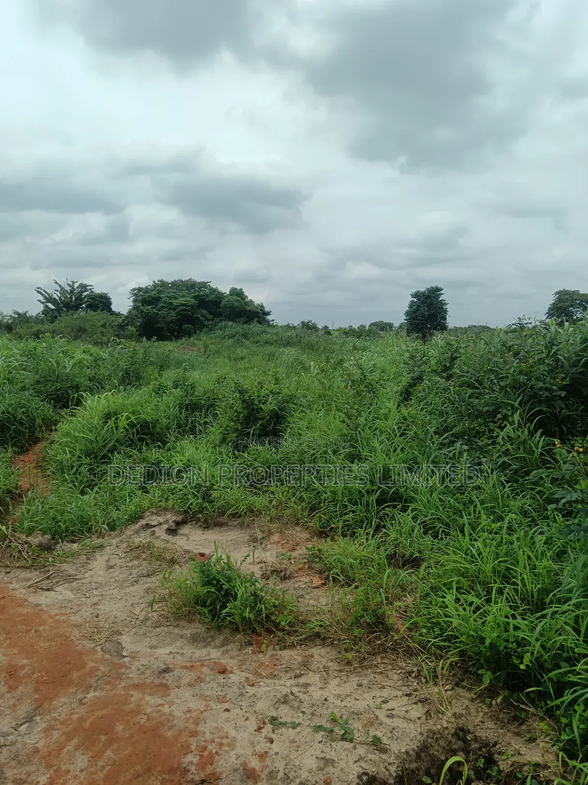 Ojodu Berger Land With Gazette, Supreme Court Judgment and Survey