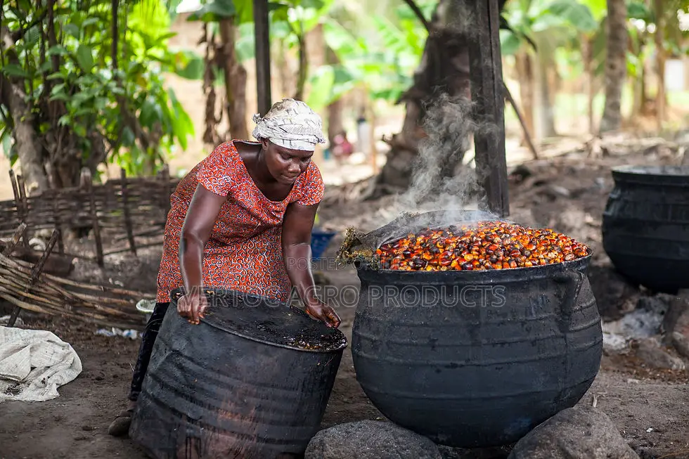 Fresh Unadulterated Palm Oil 25 Litres