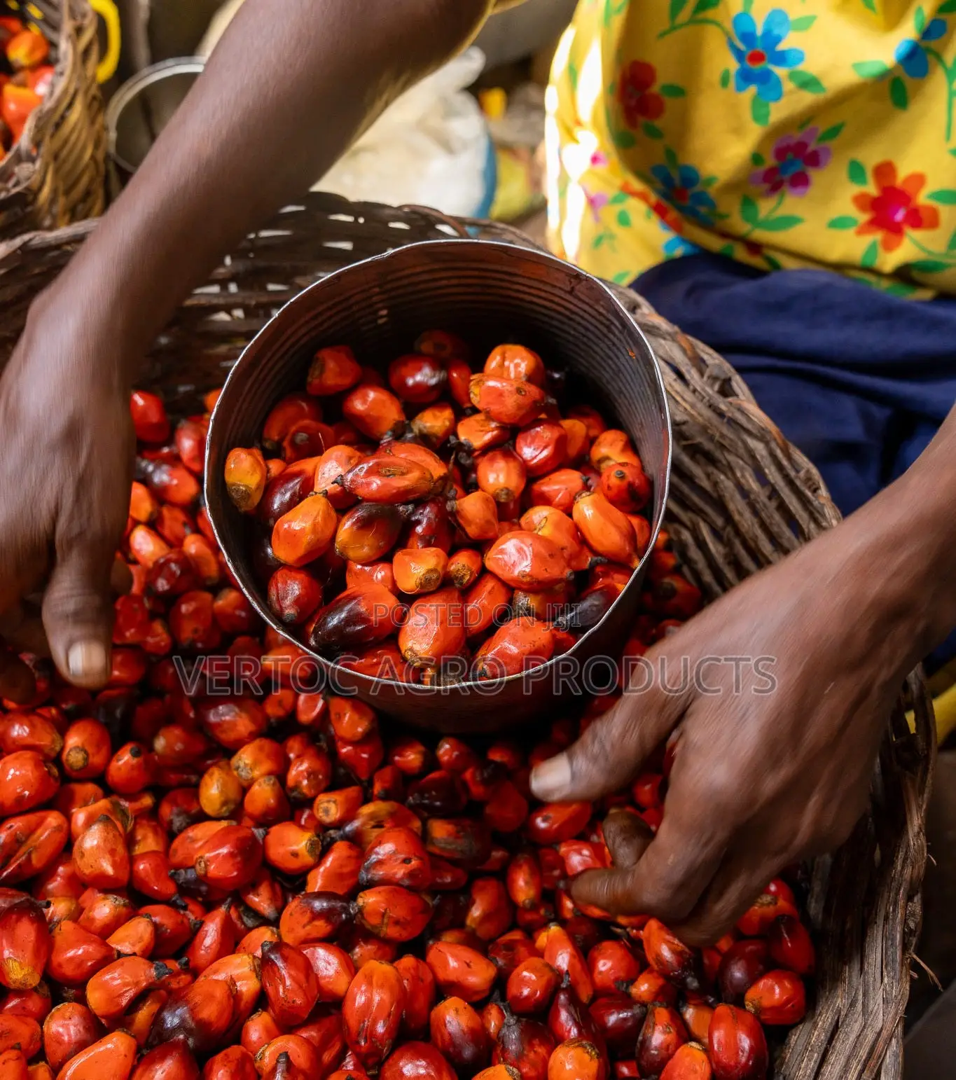 Fresh Unadulterated Palm Oil 25 Litres