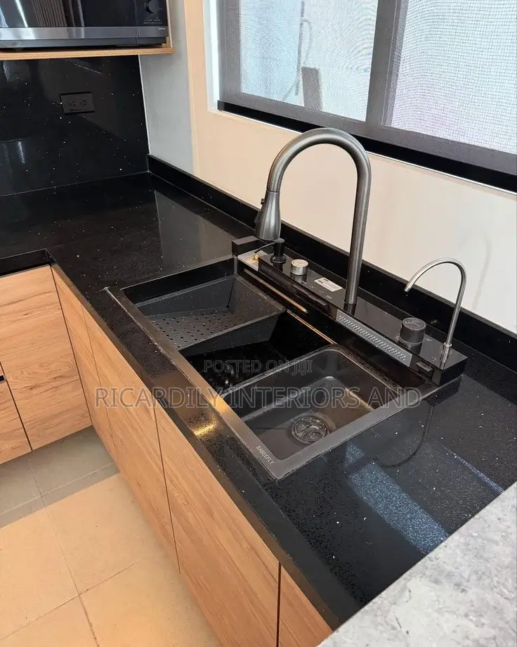 Professional Plumber