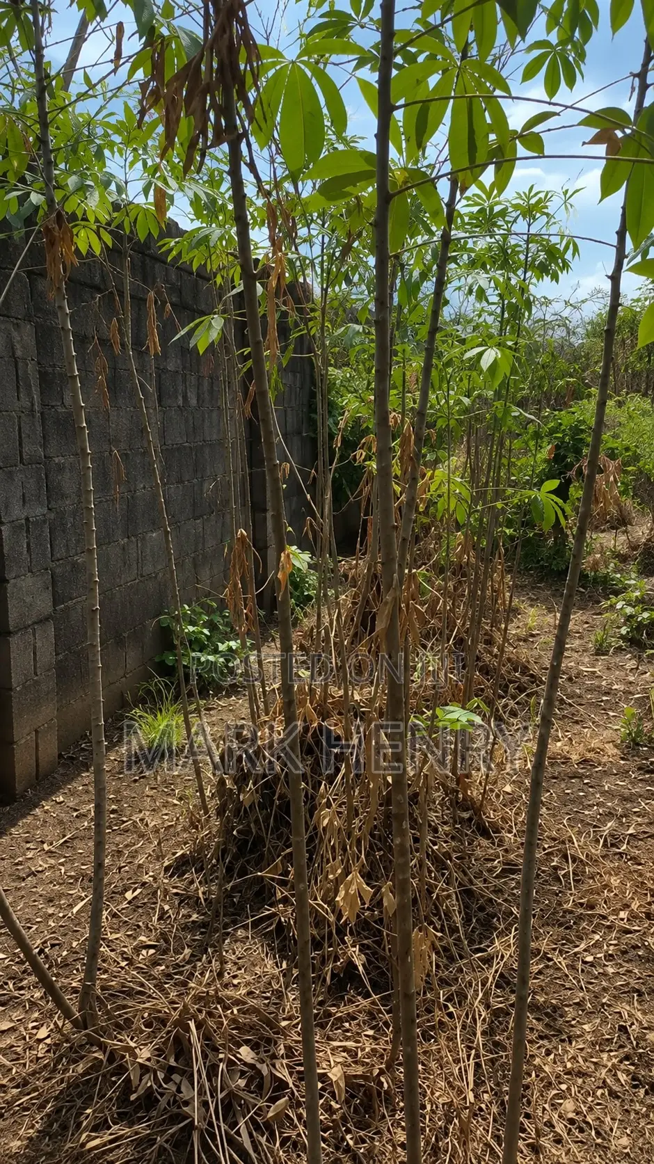 Plot of Land for Sale
