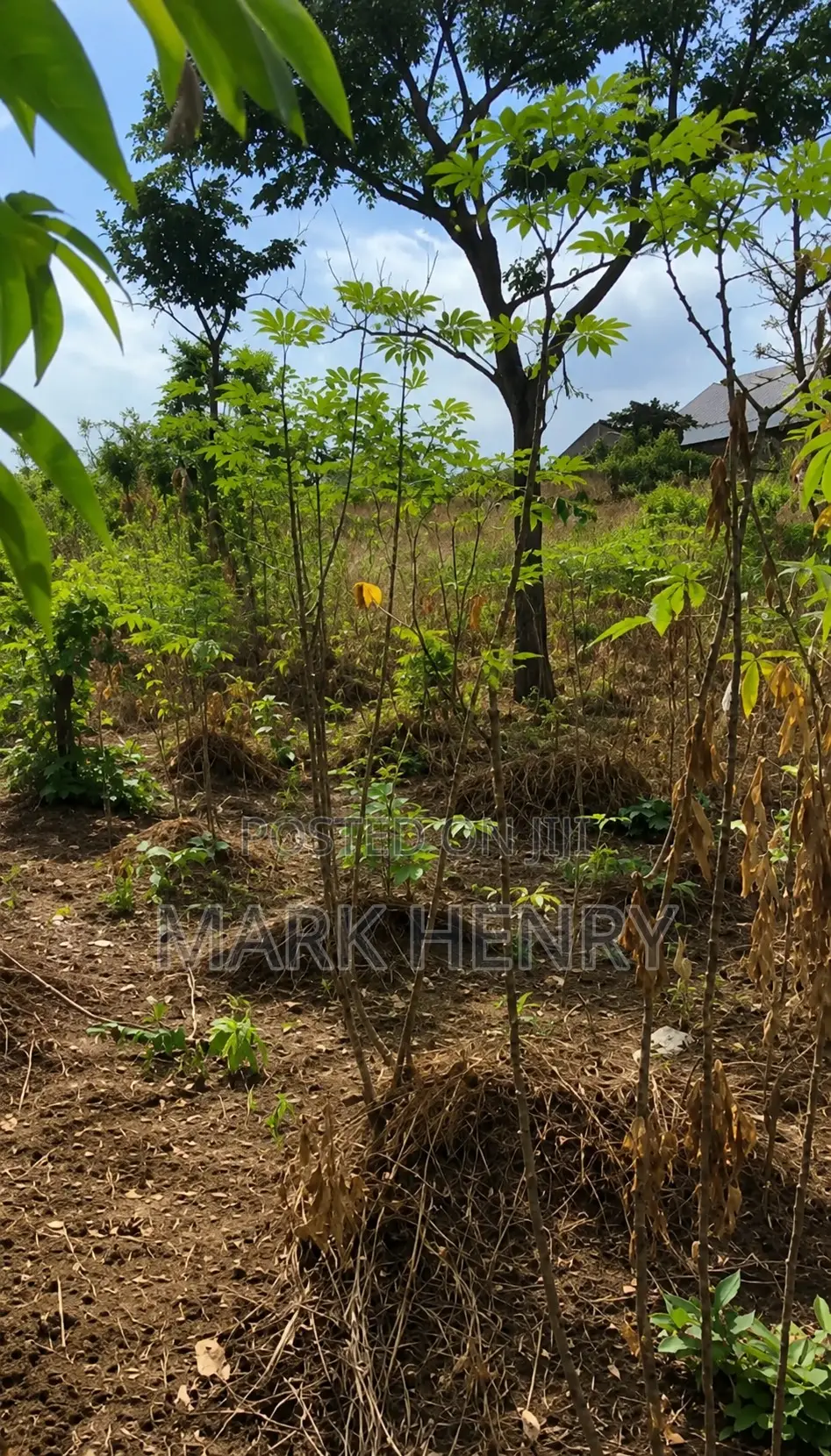 Plot of Land for Sale