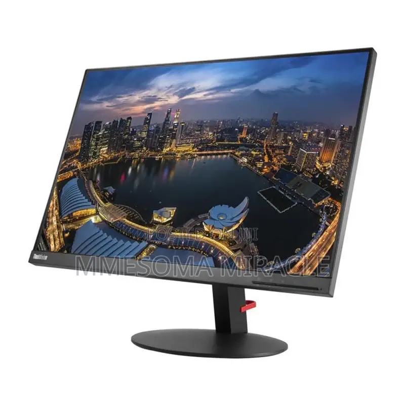 Lenovo ThinkVision T24i 24" Full HD Monitor