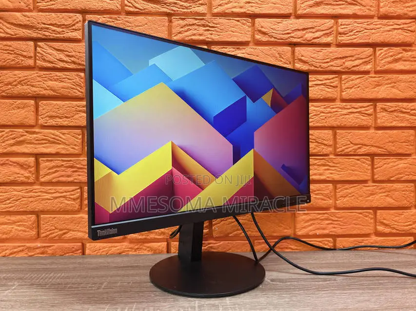 Lenovo ThinkVision T24i 24" Full HD Monitor
