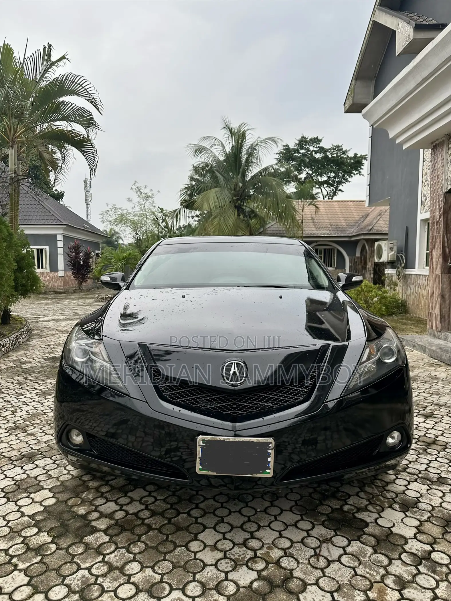 Acura ZDX Base AWD 2010 Black