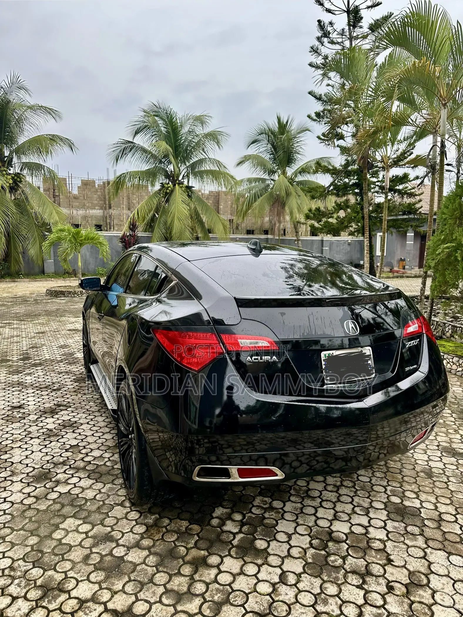 Acura ZDX Base AWD 2010 Black