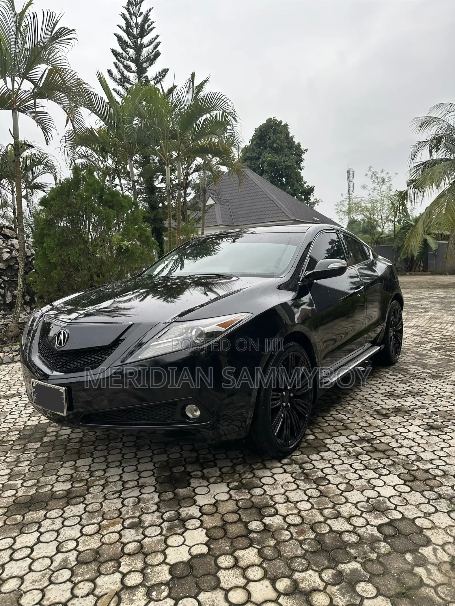 Acura ZDX Base AWD 2010 Black