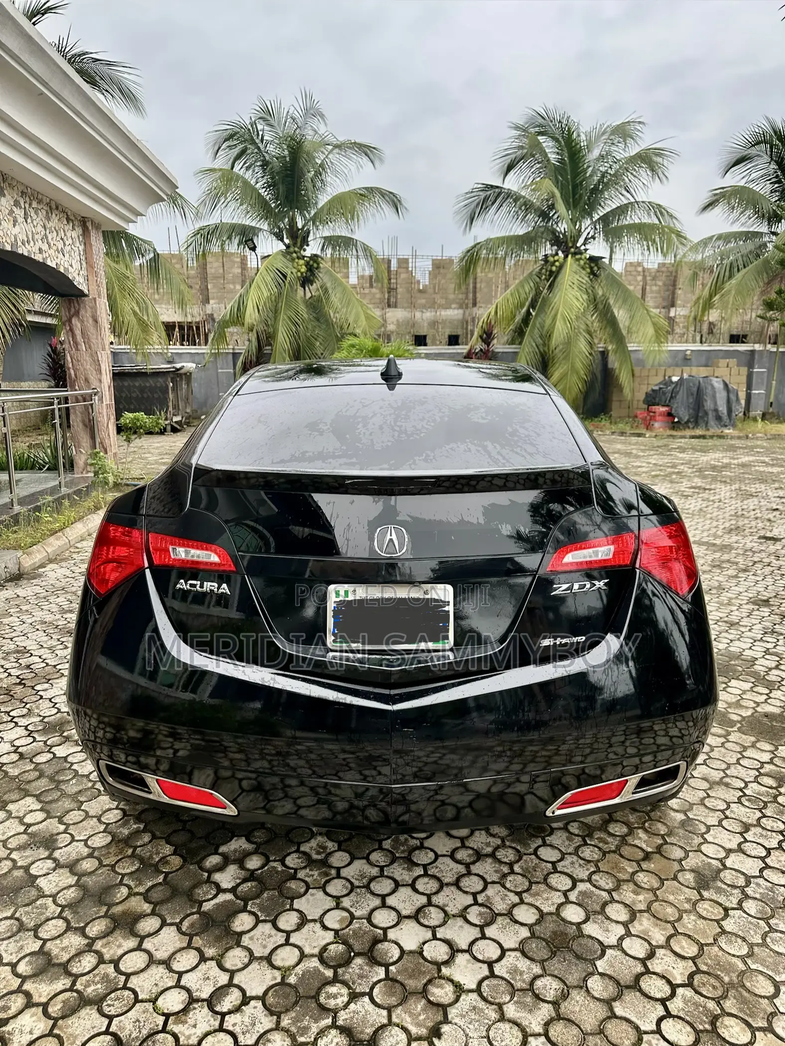 Acura ZDX Base AWD 2010 Black