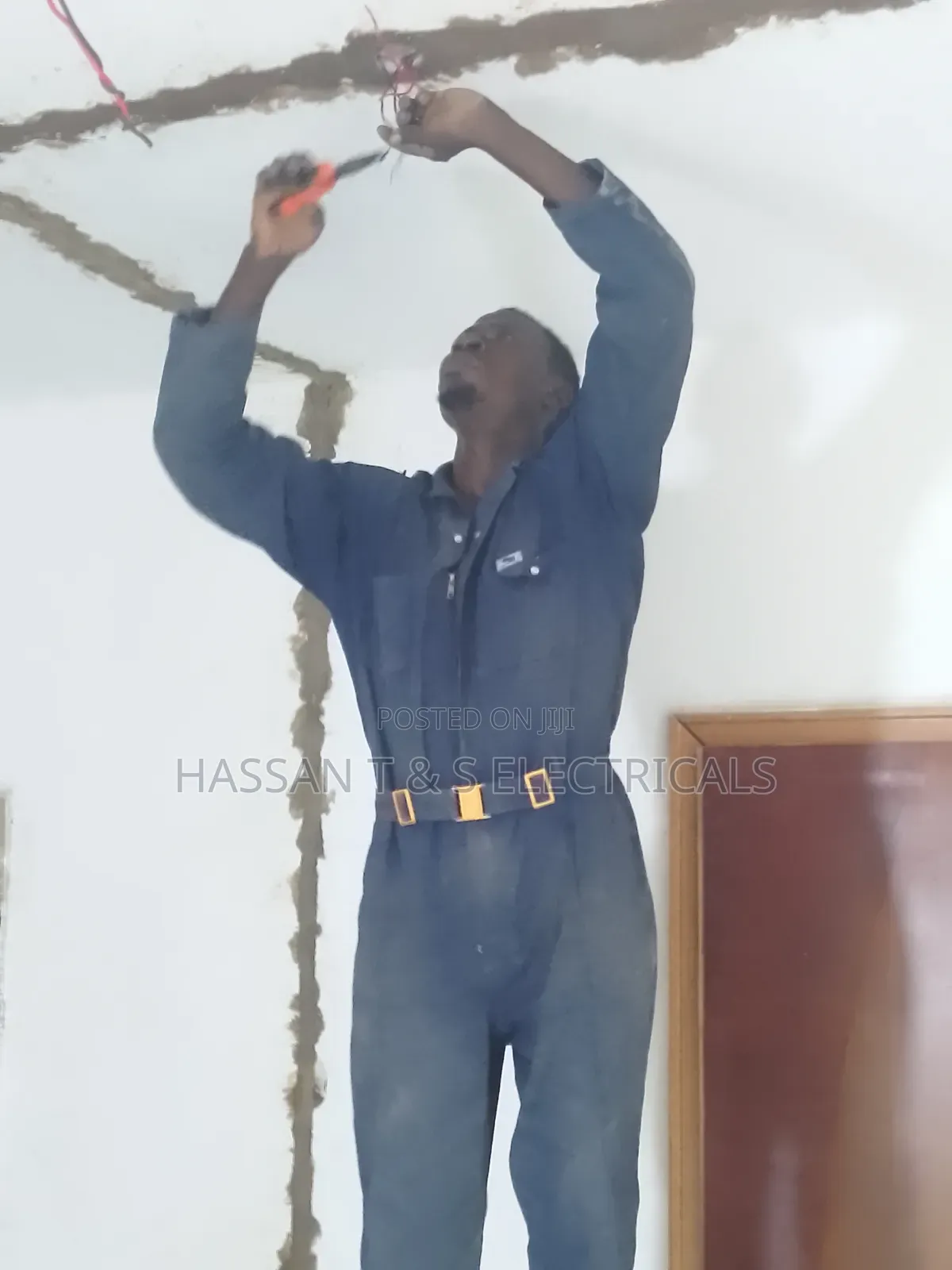 Professional Electrician