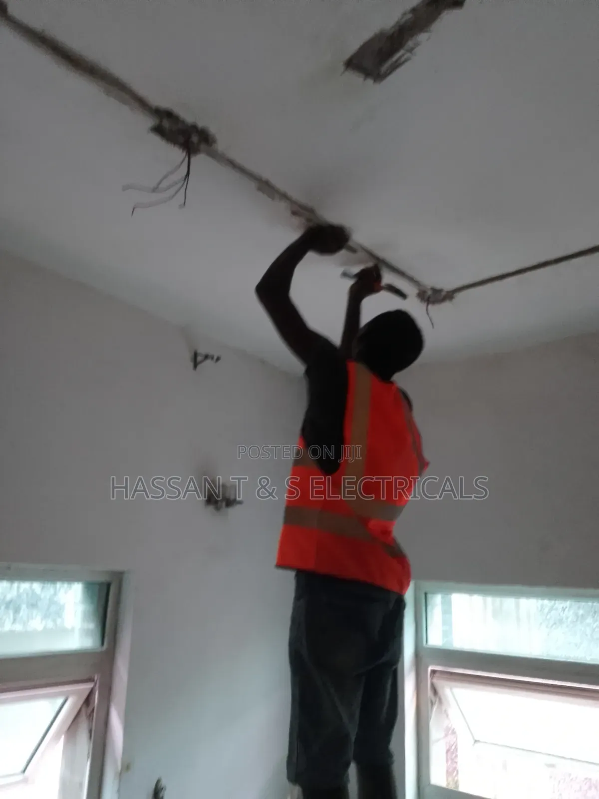 Professional Electrician