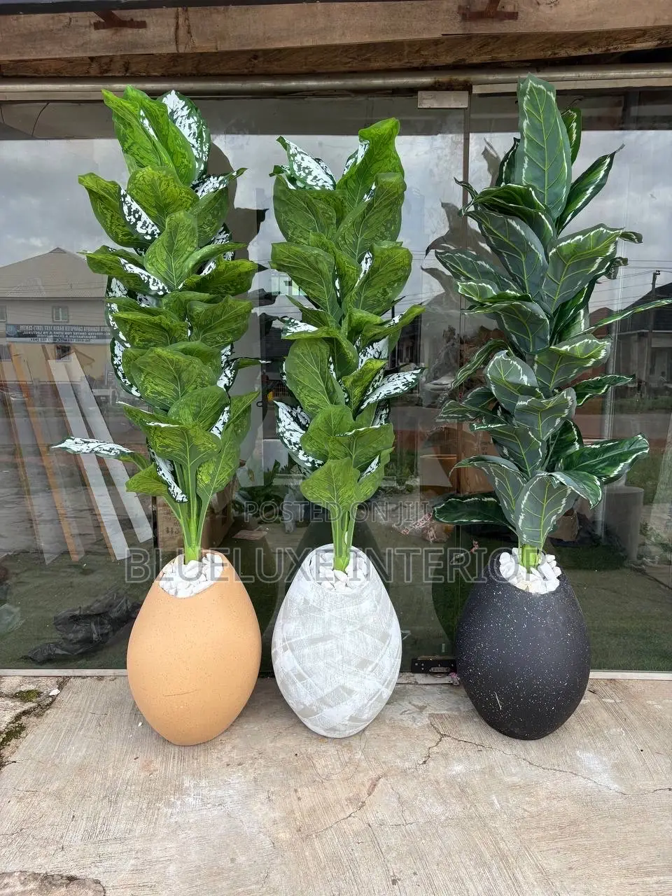 Flower Vase With Flower