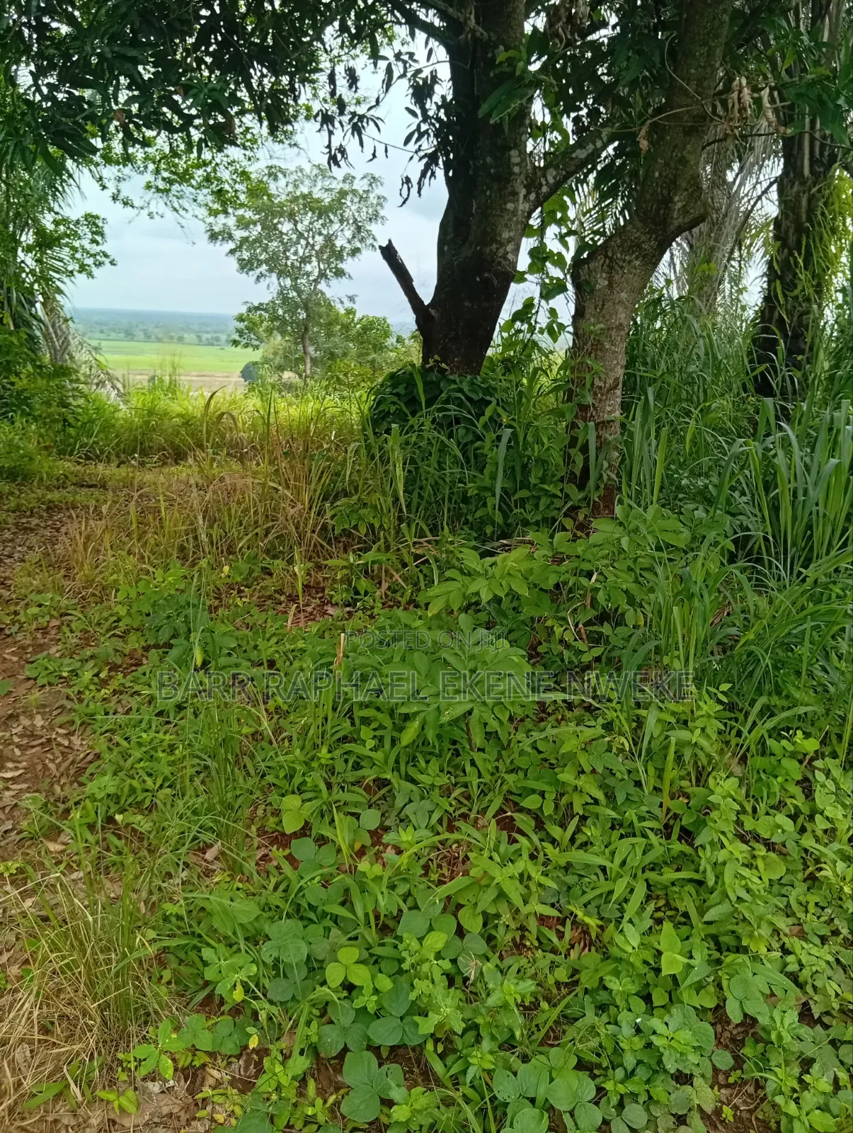 5 Plots of Land