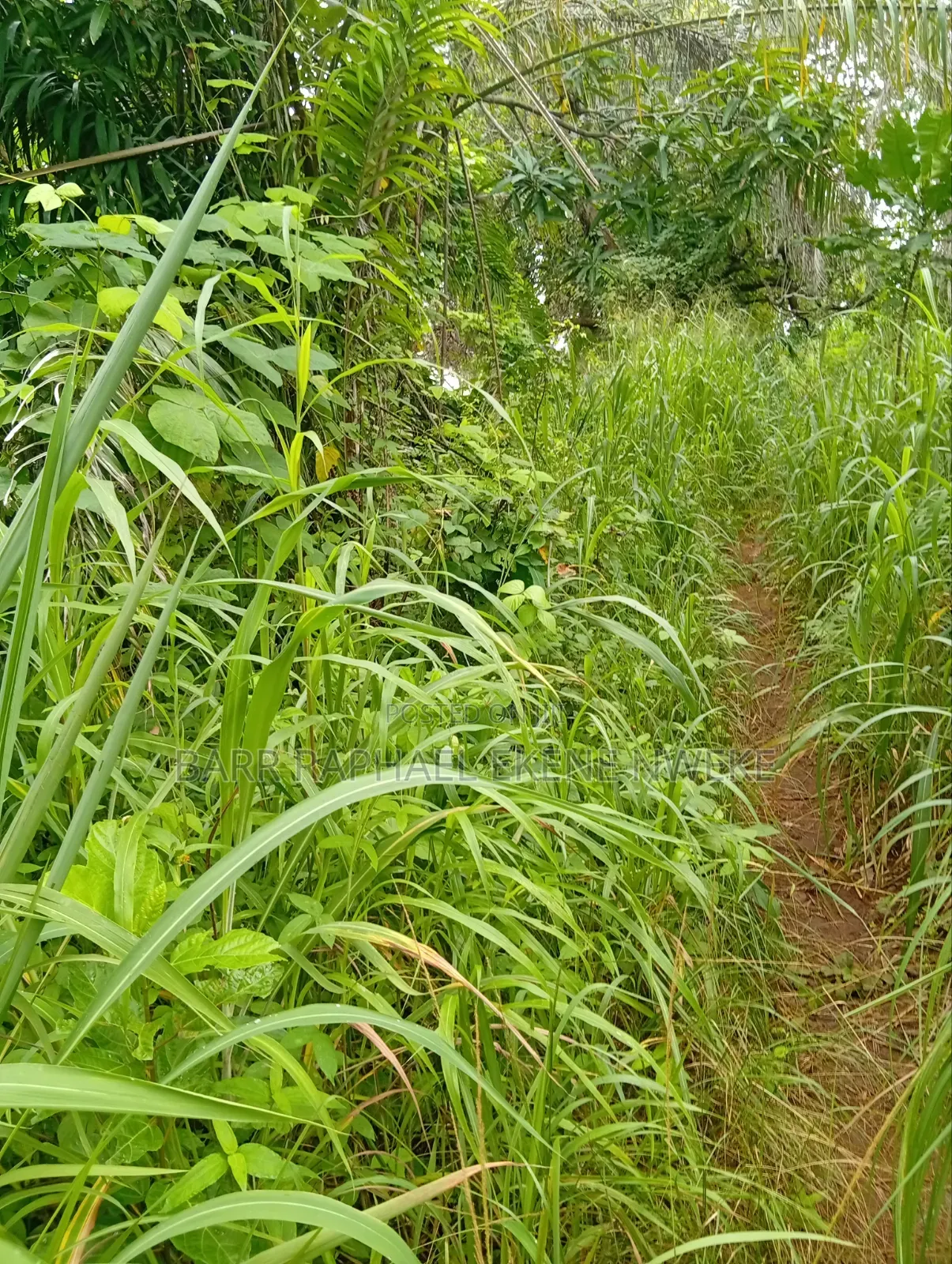 5 Plots of Land