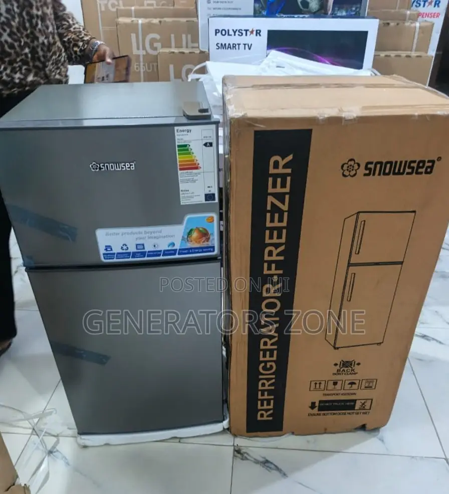Snowsea 100L BCD-136 Upper Freezer Refrigerator