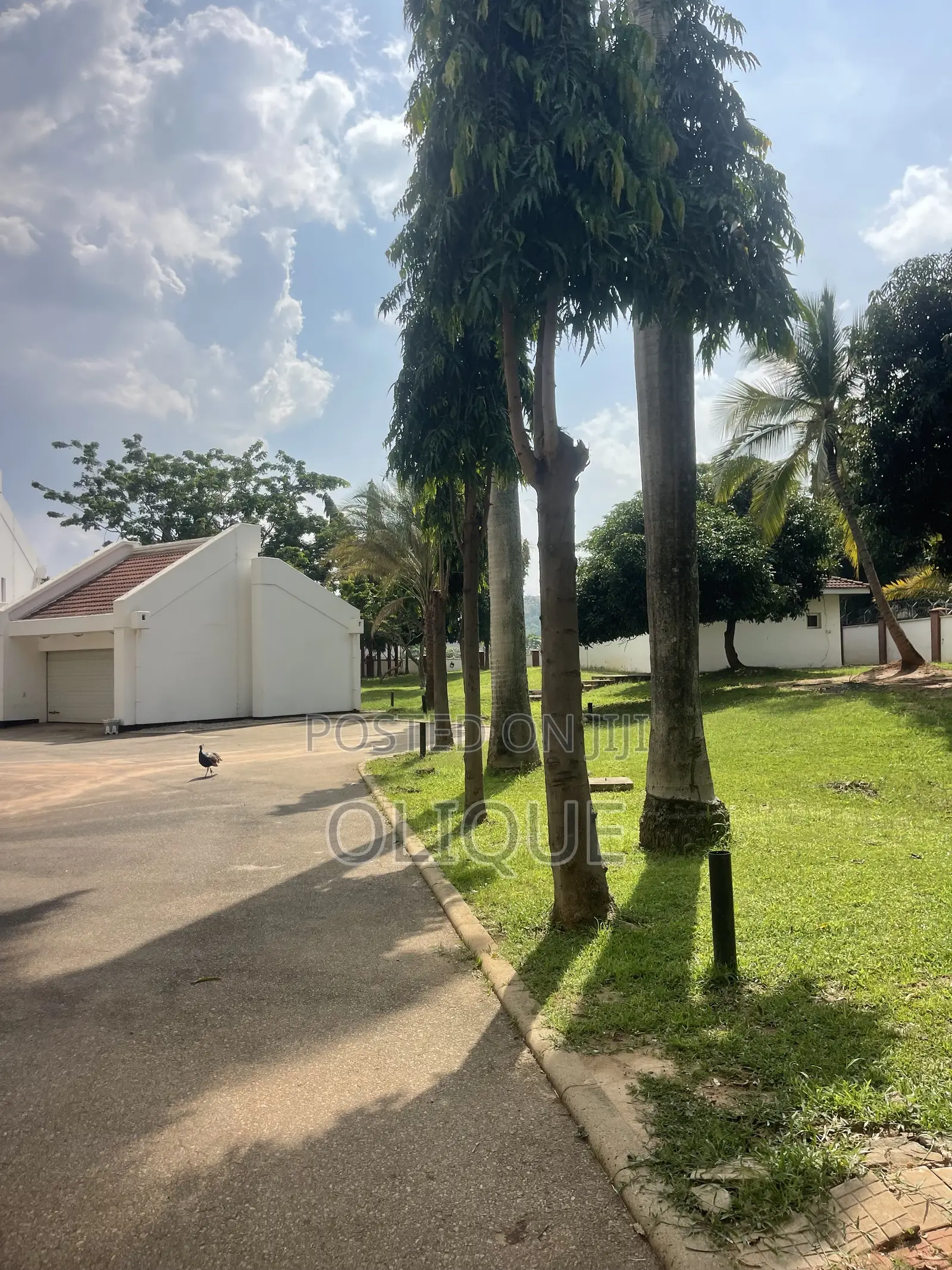 12bdrm Duplex in Maitama for rent