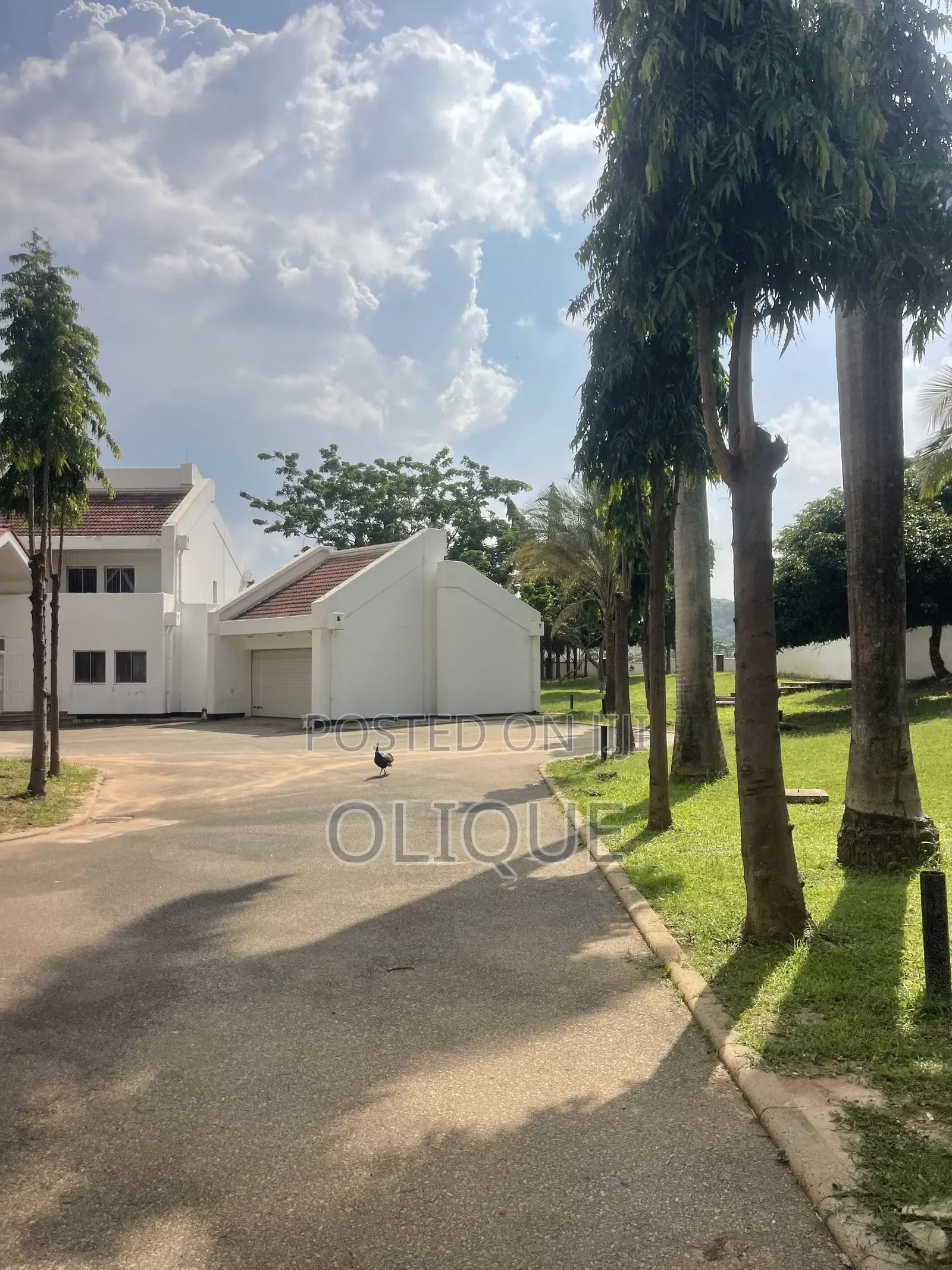 12bdrm Duplex in Maitama for rent