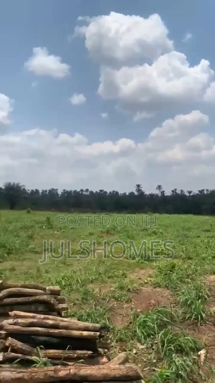 Palm Farming Land at Ijebu-Igbo Ogun State