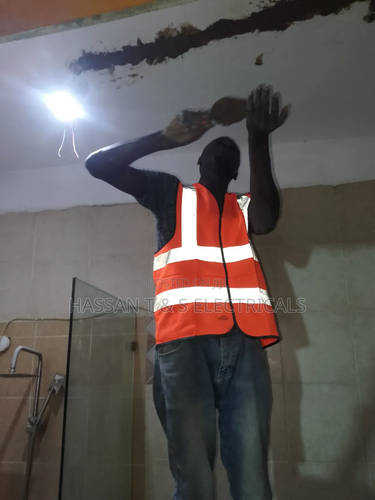Professional Electrician