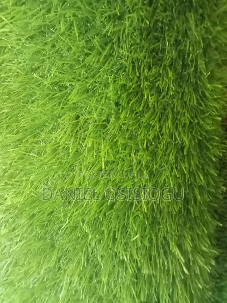 Carpets Grass