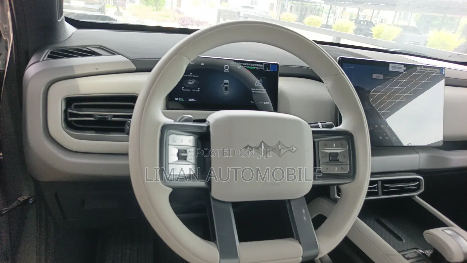 New BYD Leopard 3 2025 Green