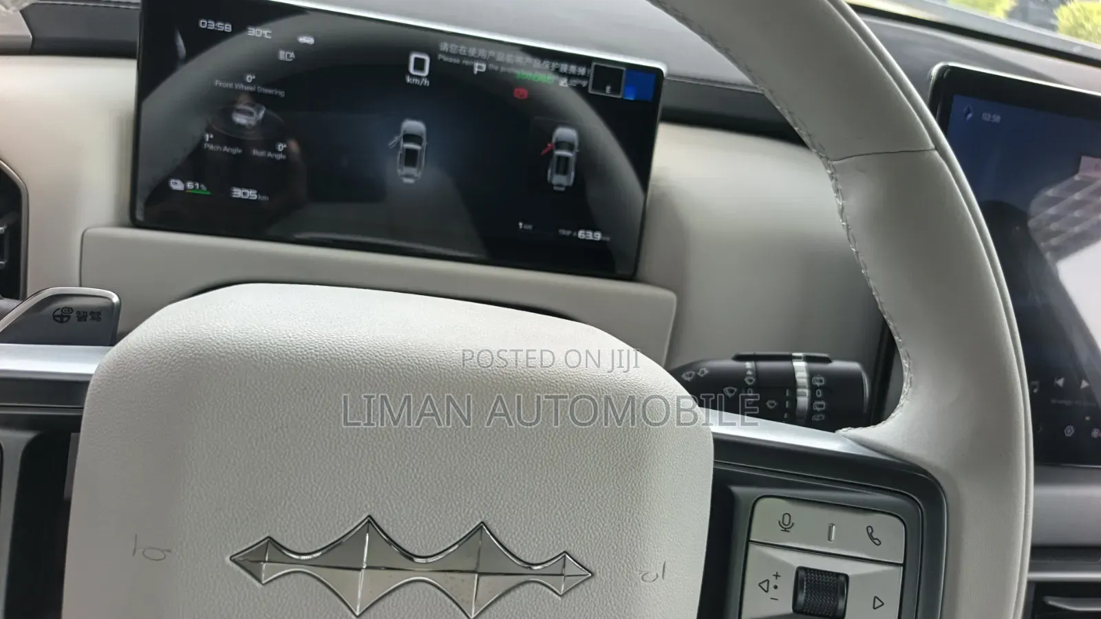 New BYD Leopard 3 2025 Green