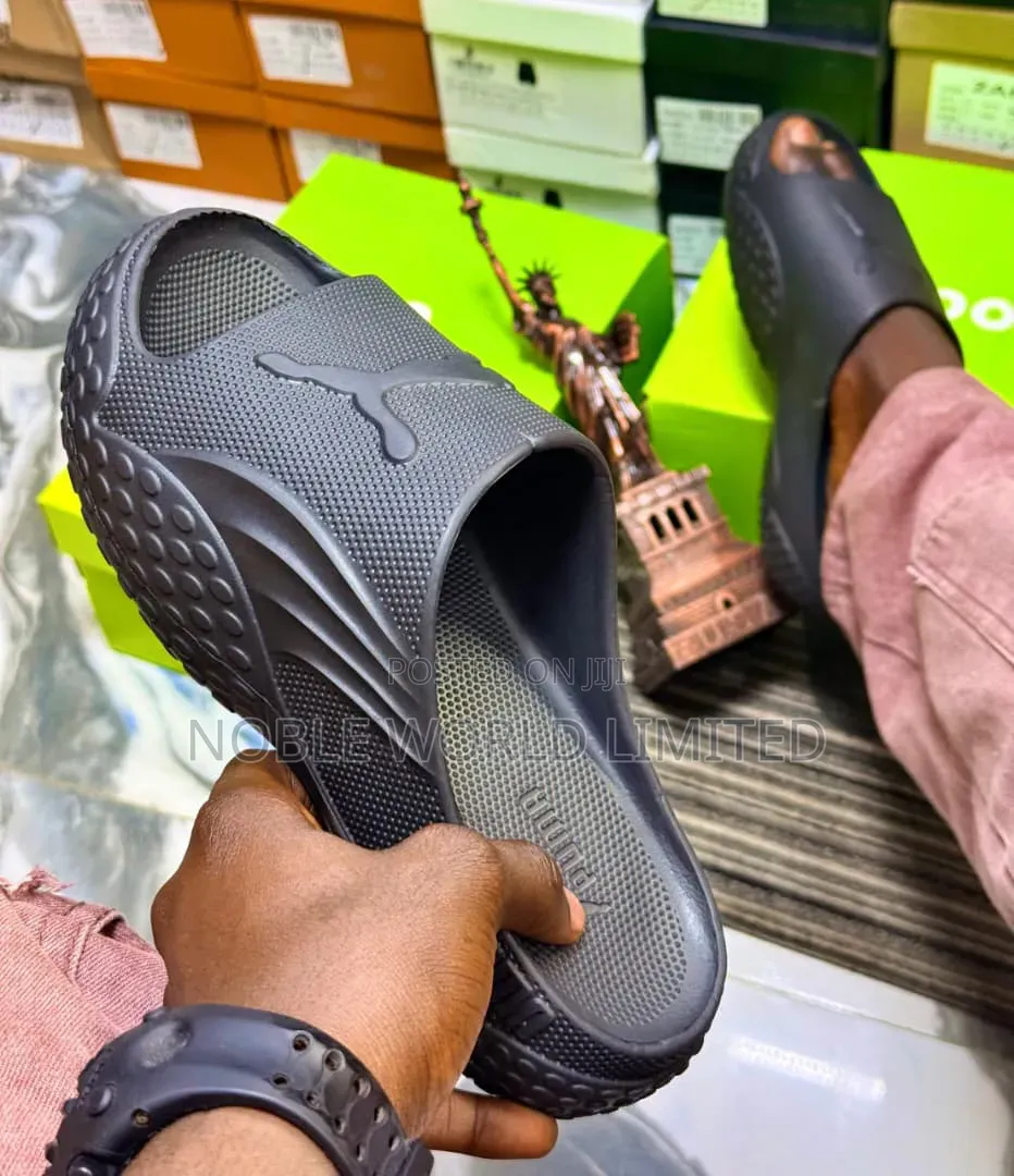 Puma.High Quality Slide Frank.6d