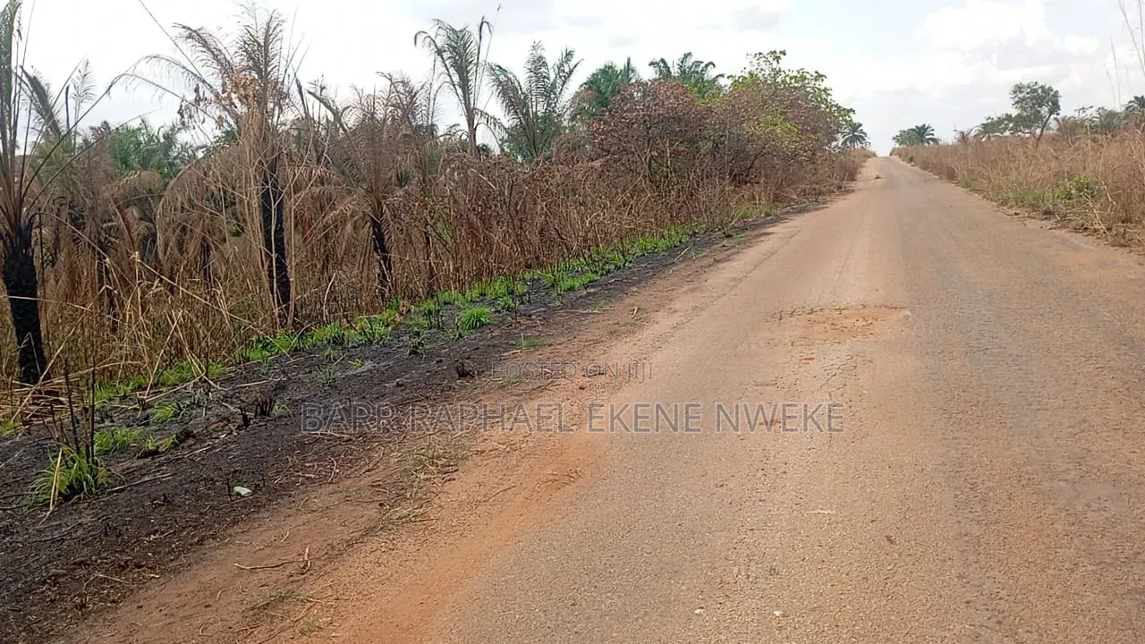 40 Plots of Land for Sale
