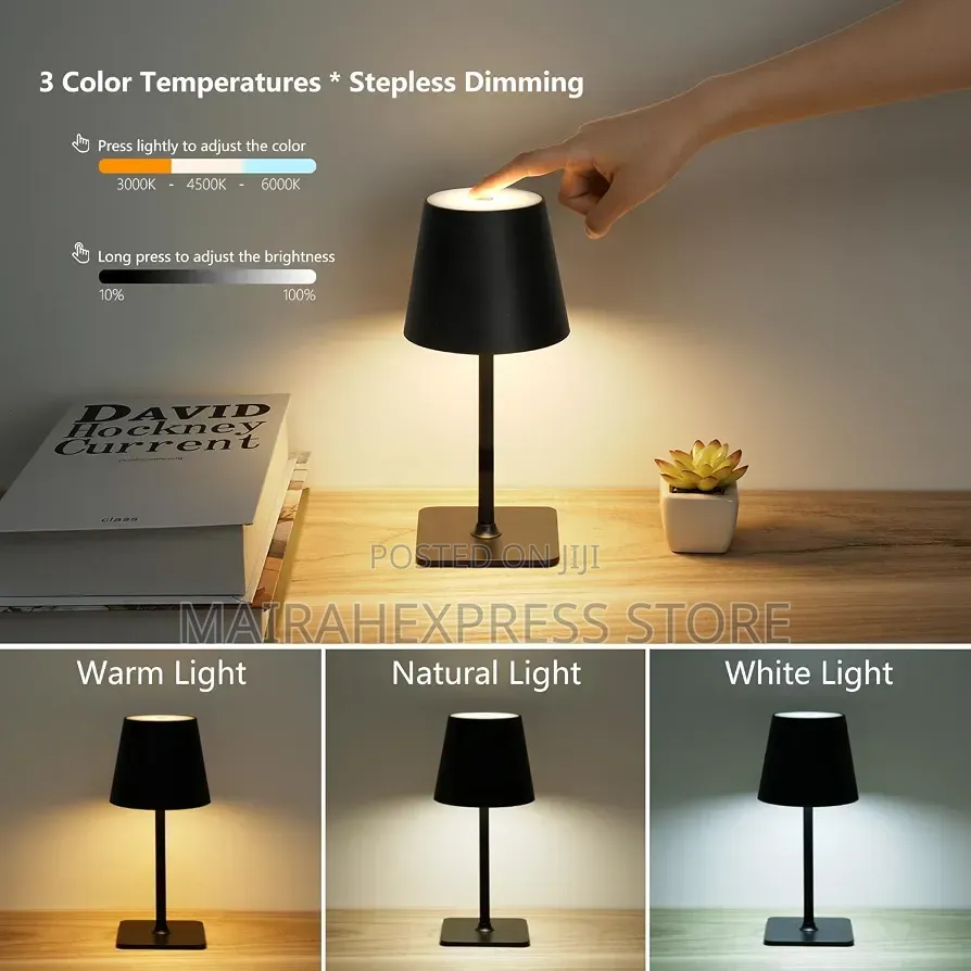 Rechargeable Battery LED Desk Lamp for Bedroom/Couple Dinner