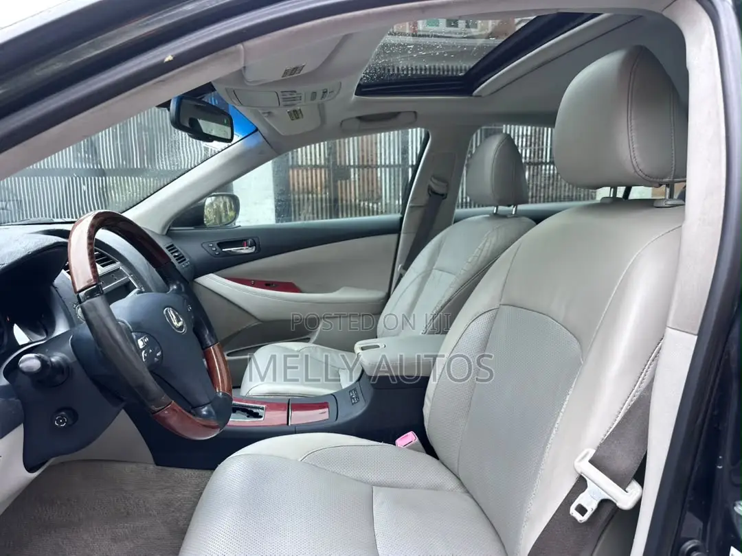 Lexus ES 350 2009 Gray