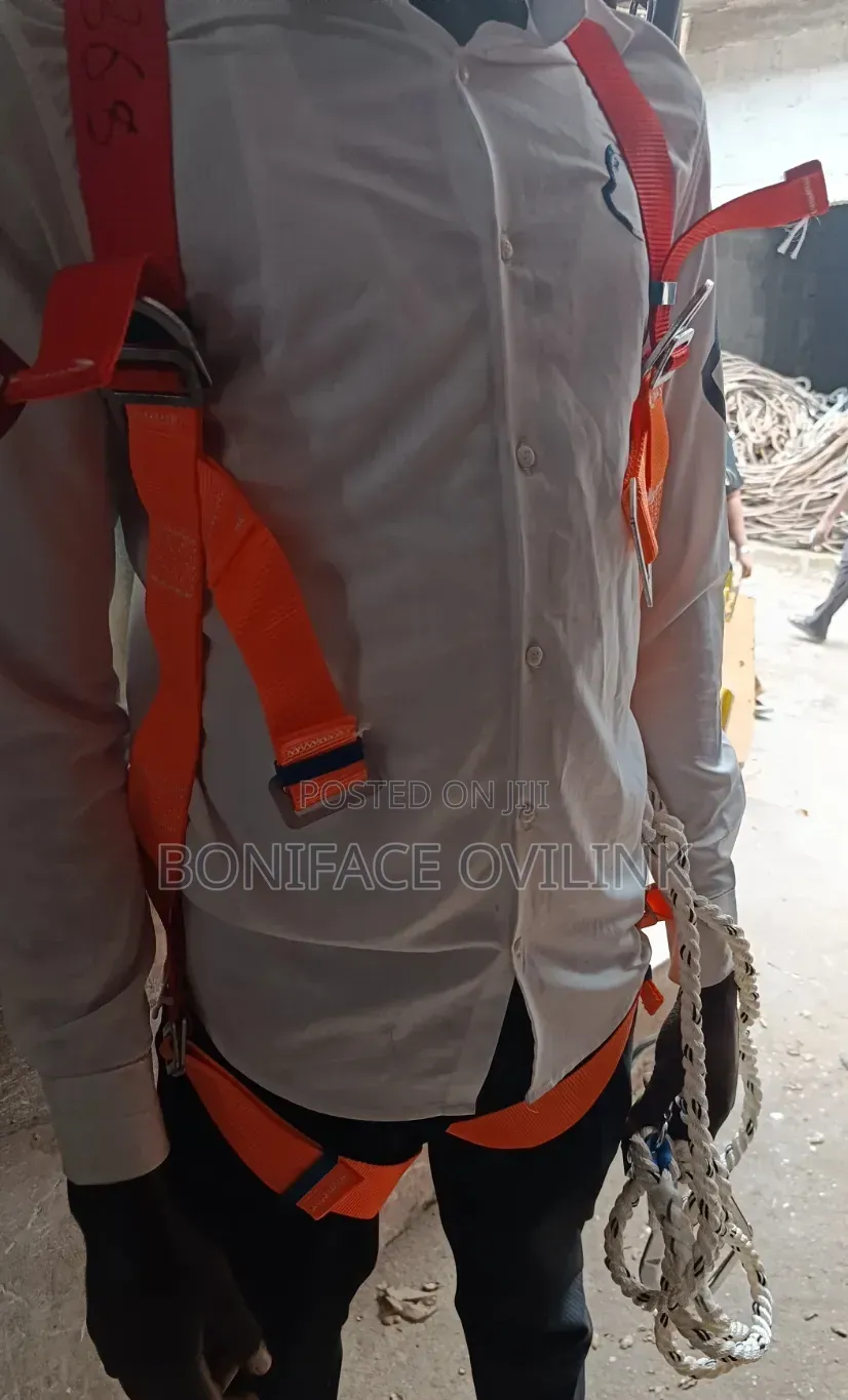 Full-Body Harness Plus Original