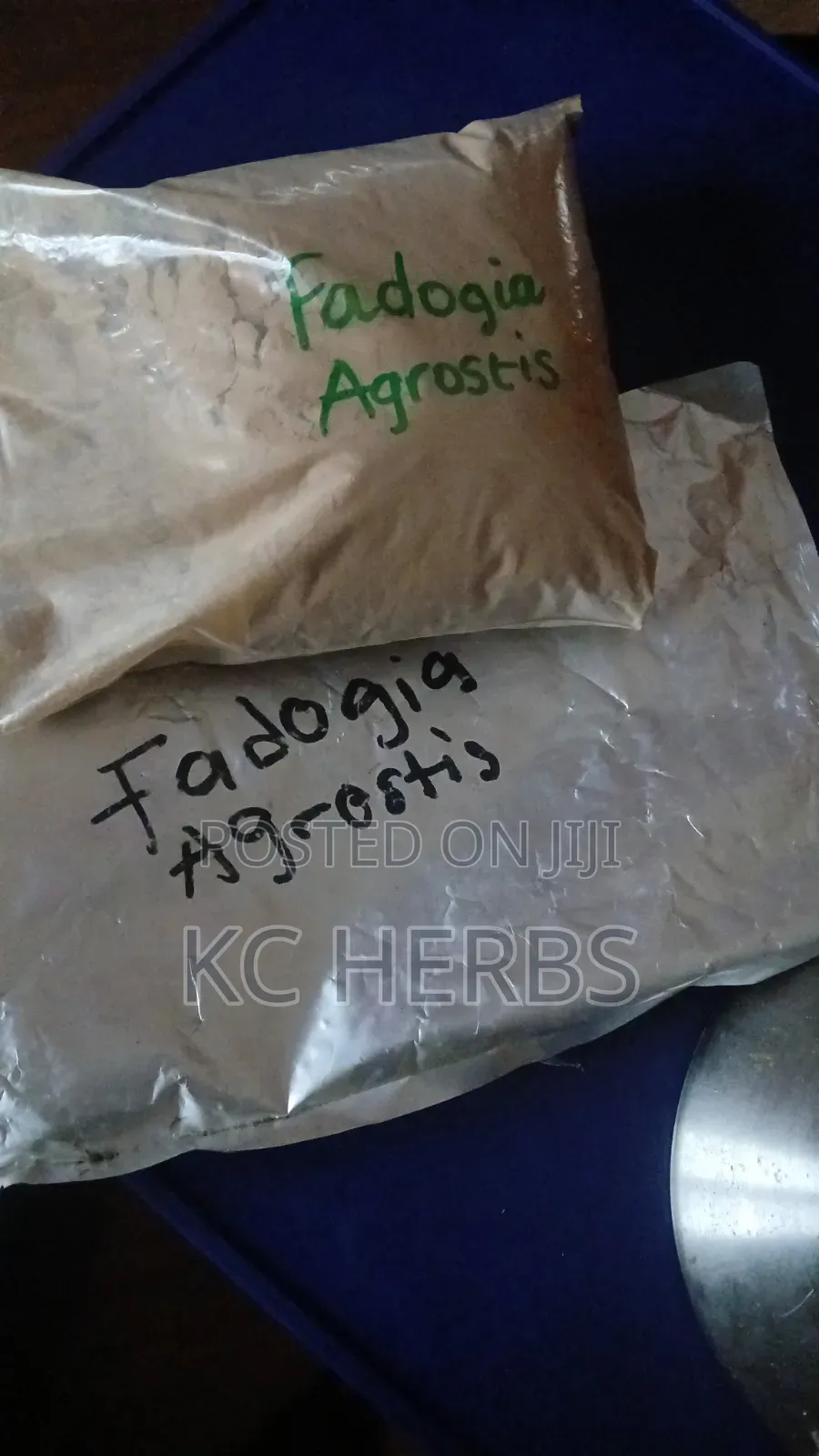 Fadogia Agrestis Extract 100g