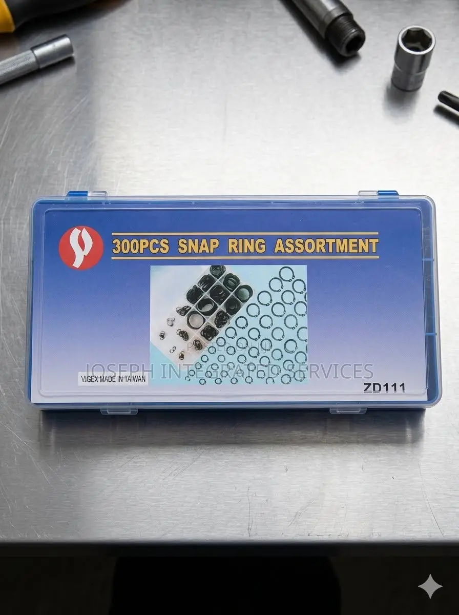 300-Piece VIGEX Snap Ring Assortment Kit