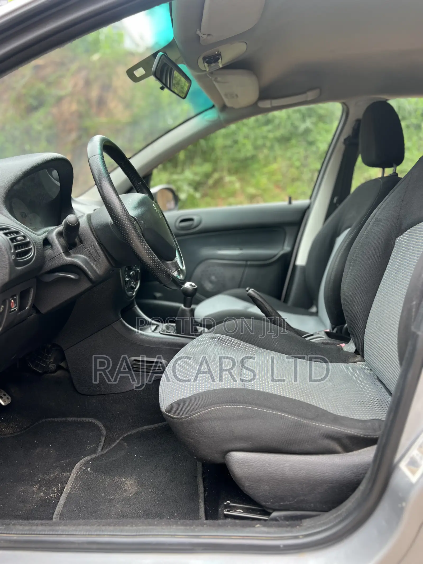 Peugeot 206 SW 2003 Silver