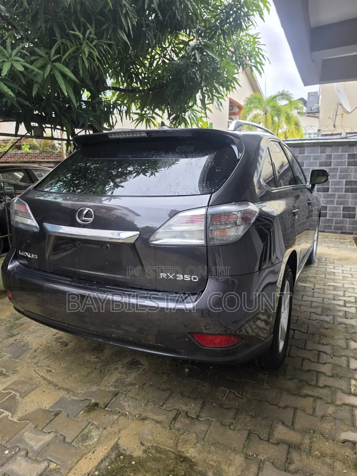 Lexus RX 2011 Brown