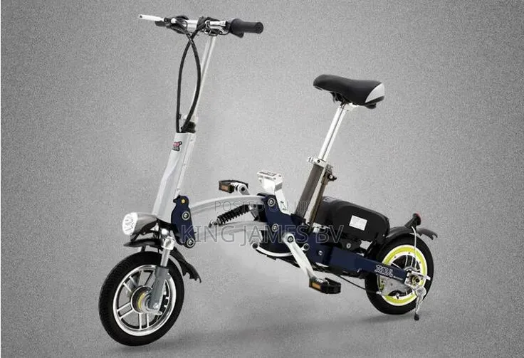 D2 Electric Scooter Bicycle Smart Electric Ride for Everyday Mobility