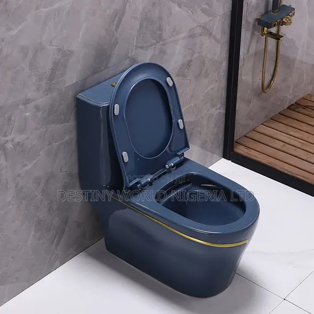 Executive Luxury Water Closet